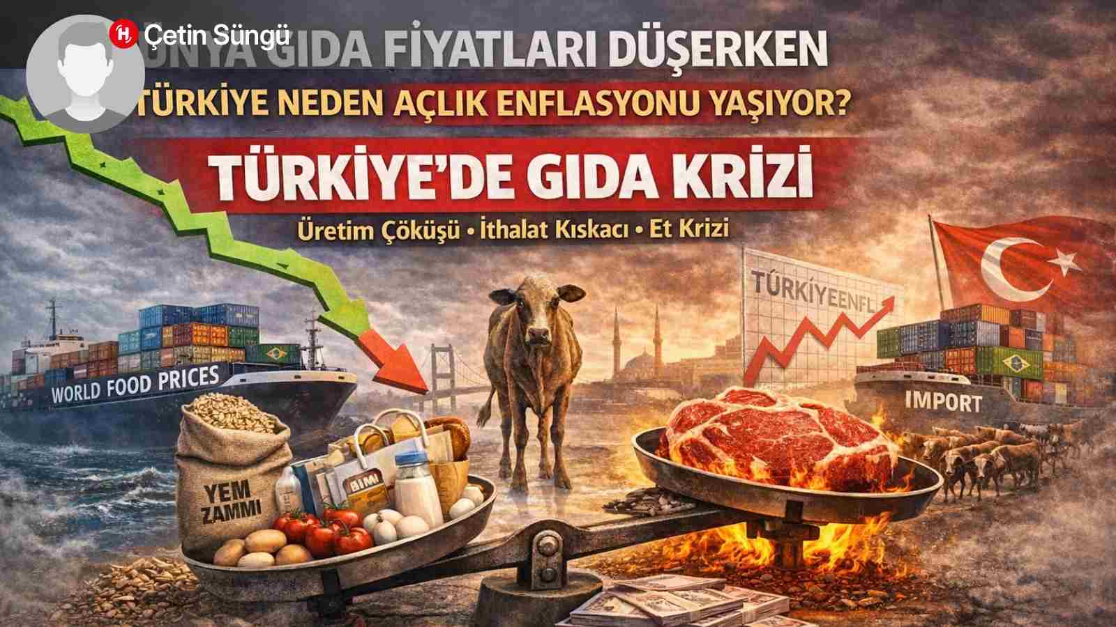 Why Turkey Is Experiencing Hunger Inflation While World Food Prices Are Falling?