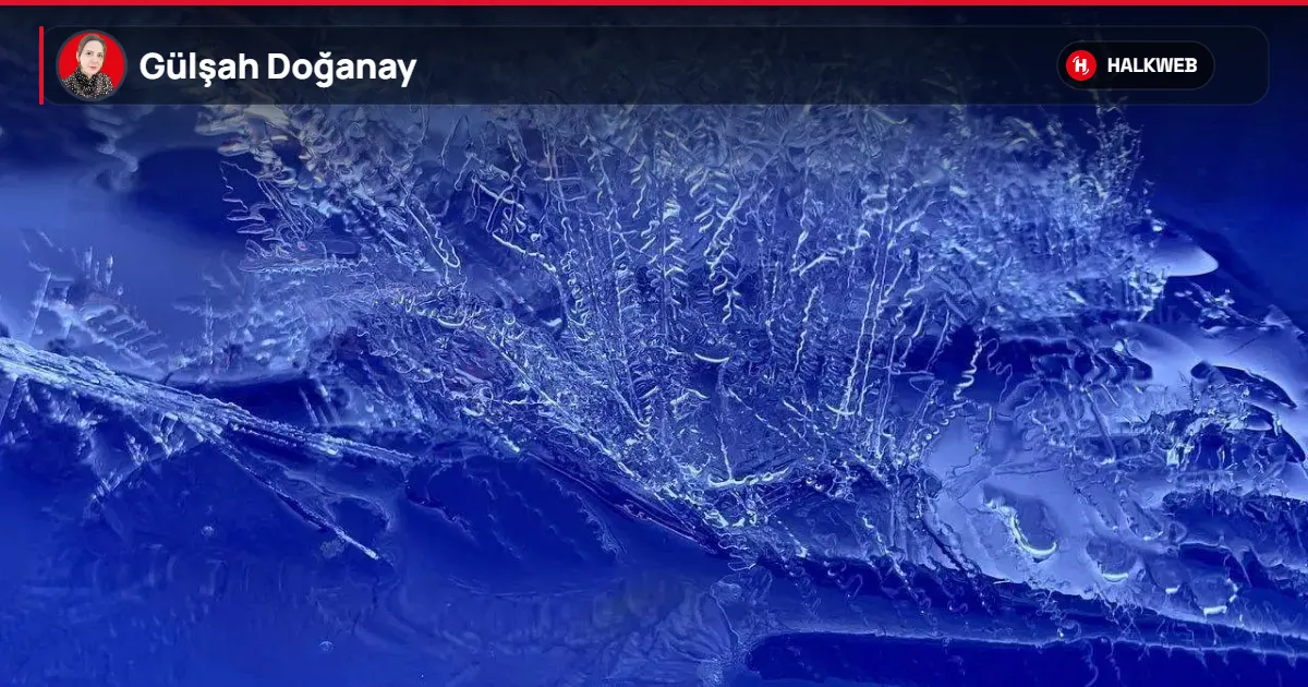 22 Mart Dünya Su Günü