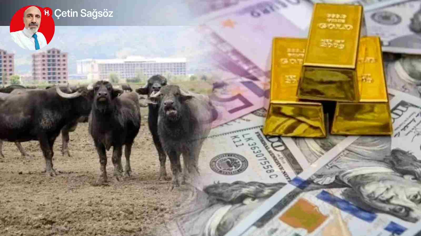 Mal Varlığı mı, Hayvan Varlığı mı?